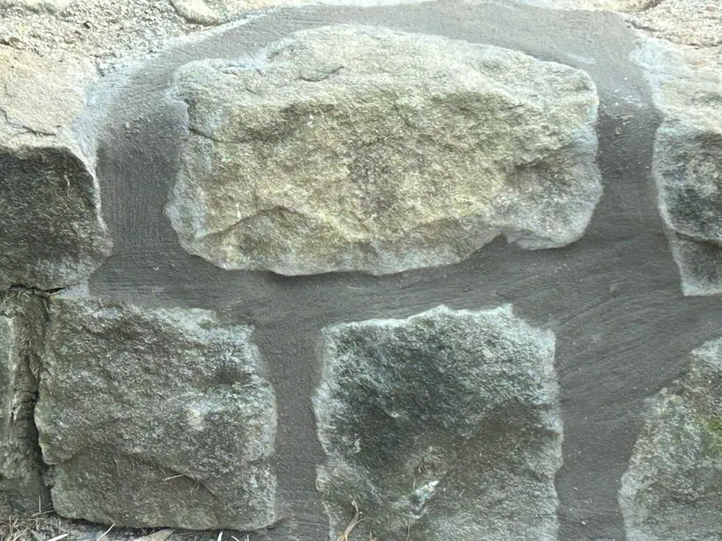 Project photo 3 from Barbara M.