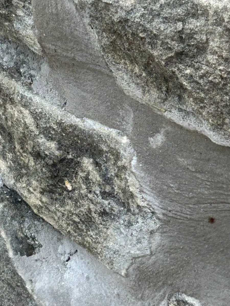 Project photo 4 from Barbara M.